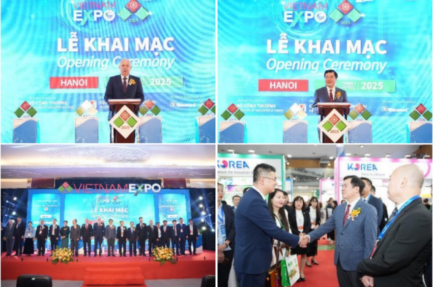 1765871544728.jpg 1765871544728.jpg